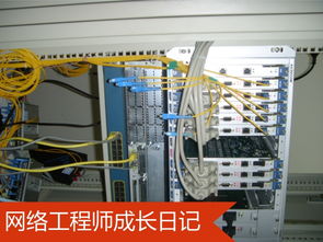 网络工程师成长日记402 乌审旗某采气厂项目实录