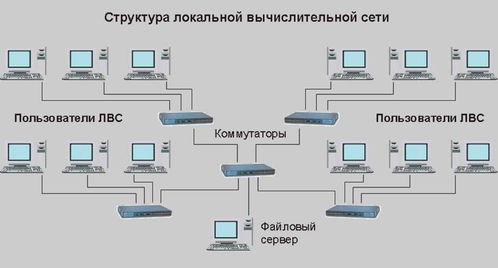 网络工程实习报告与拓扑图实战指南